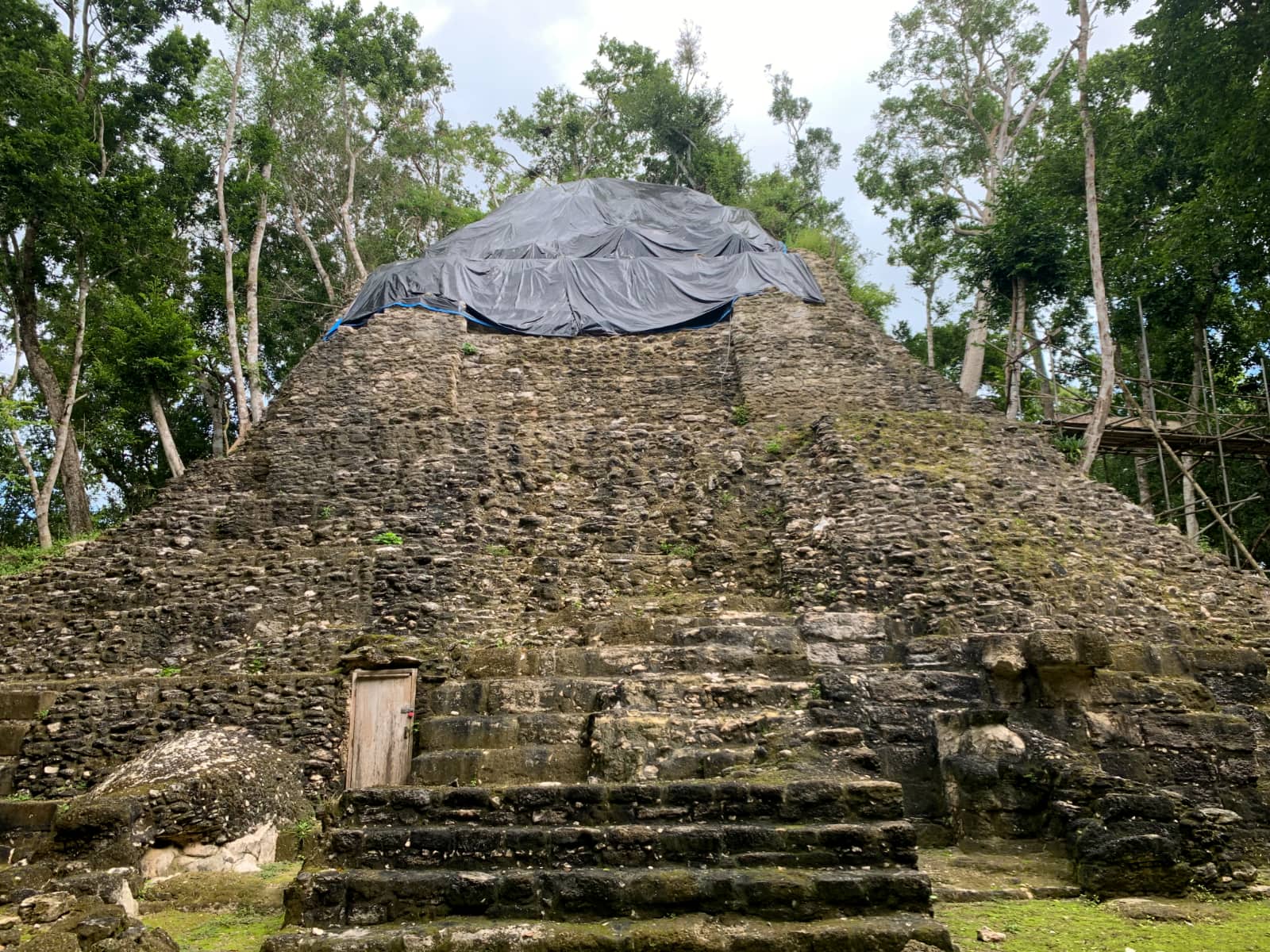 Large, grey stone temple with black tarp covering top surrounded by tall trees in jungle