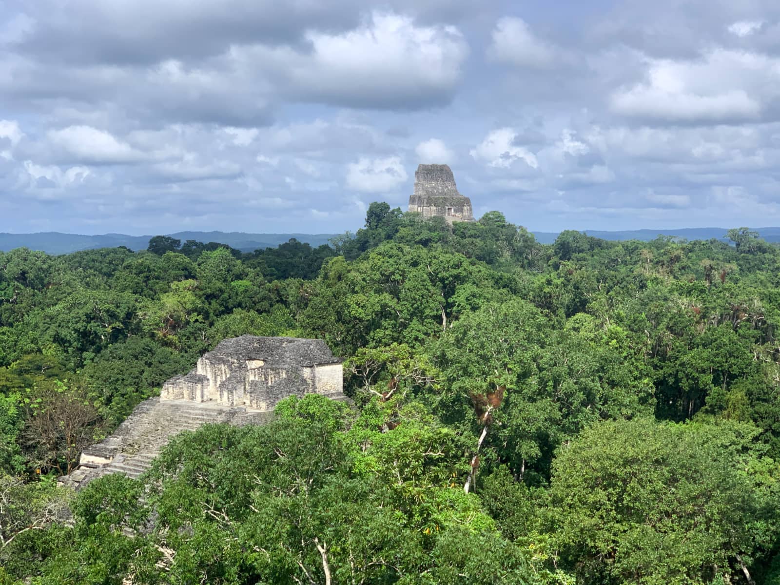 Two, grey stone temples standing among dense, green jungle in Guatemala