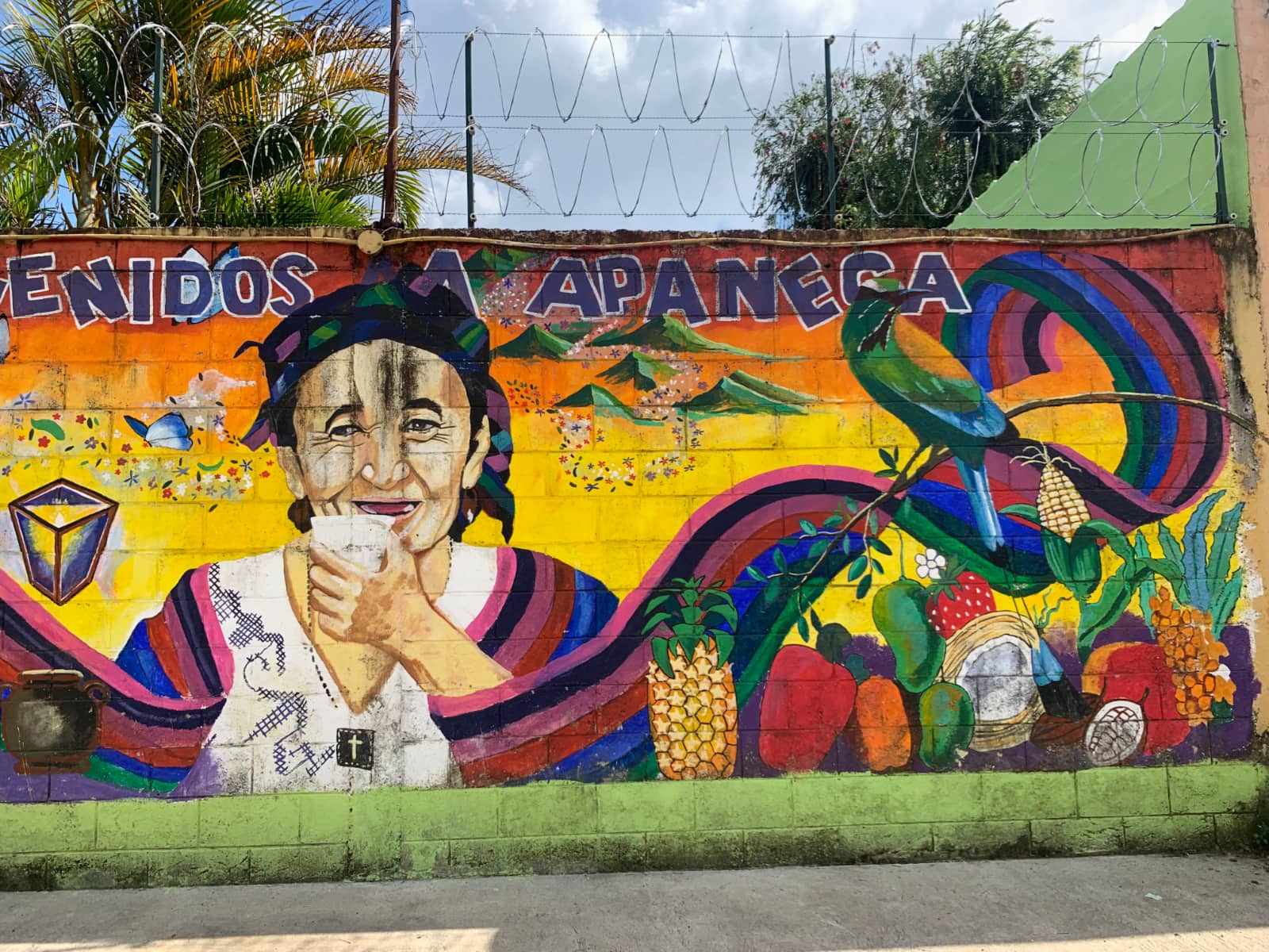 Elderly Salvadoran woman smiling and drinking beverage with selection of colourful fruits and vegetables to her right